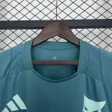 2025/26 Cruzeiro blue green Training Shirts