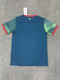 2025 Portugal Special Edition green and blue Fans Soccer jersey