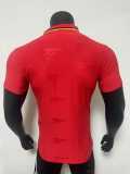 [PLAYER] 2025/26 ASN Special Edition Red Player Soccer jersey