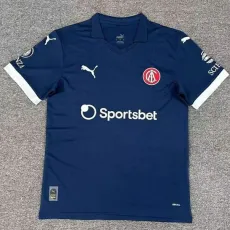 2025/26 Independiente 3RD Fans Soccer jersey