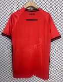 2025/26 Albania Home Red Fans Soccer jersey