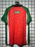 2025/26 CD Palestino 3RD Fans Soccer jersey