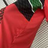 2025/26 CD Palestino Special Edition Red Fans Soccer jersey