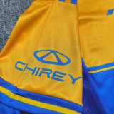 2025/26 Tigres UANL Commemorative Edition Fans Soccer jersey