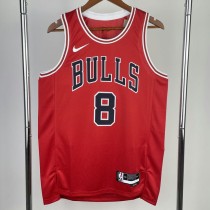 2023 BULLS LAVINE #8 Red Icon Edition Swingman Jersey NBA Jerseys