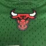2008/09 BULLS ROSE #1 NBA Jerseys