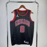 2023 BULLS LAVINE #8 Hot Pressing NBA Jerseys
