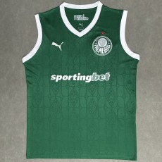 2025/26 Palmeiras Training Shirts