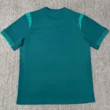 2025 Nigeria Special Edition Fans Soccer jersey