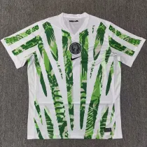 2025 Nigeria Special Edition Fans Soccer jersey