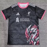 2025/26 LIV Special Edition Fans Soccer jersey