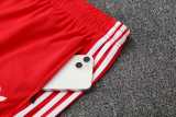 2025/26 Bayern Red Training Shorts Suit