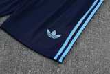 2025 Argentina Royal blue Training Shorts Suit