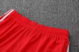 2025/26 Bayern Red Training Shorts Suit
