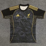 [PLAYER] 2025 Mexico Special Edition Player Soccer jersey