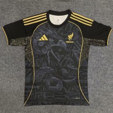 [PLAYER] 2025 Mexico Special Edition Player Soccer jersey