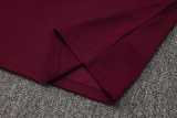 2025/26 Bayern Jujube red Training Shorts Suit