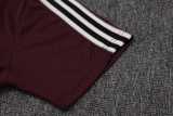 2025/26 Ajax Jujube red Training Shorts Suit
