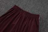 2025/26 Ajax Jujube red Training Shorts Suit