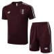 2025/26 Ajax Jujube red Training Shorts Suit
