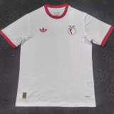 2025/26 Benfica Commemorative Edition Fans Soccer jersey