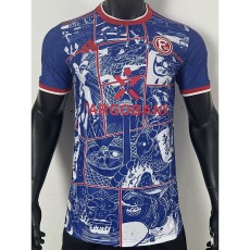 [PLAYER] 2025 Japan Commemorative Edition Player Soccer jersey