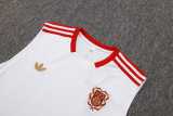 2025/26 Bayern Training Shorts Suit