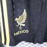 [PLAYER] 2025 Mexico Special Edition Player Soccer Shorts