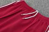 2025/26 Bayern Tracksuit