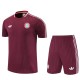 2025/26 Bayern Dark red Training Shorts Suit