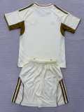 2025/26 Chicago Fire Special Edition Khaki Fans Kids Soccer jersey