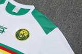 2025/26 Cameroon White Training Shorts Suit
