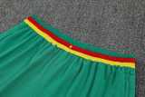 2025/26 Cameroon White Training Shorts Suit