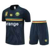 2025/26 Cameroon Royal blue Training Shorts Suit