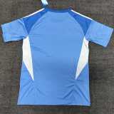 2025/26 Newcastle GKL Blue Fans Soccer jersey