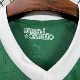 2025/26 Palmeiras Home Green Fans Soccer jersey