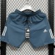 Gray Shorts Pants