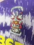 2025/26 Stoke City Away Purple Fans Soccer jersey