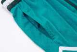 Jordan Green Casual Shorts Pants