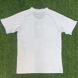 2025/26 Lyon Home Fans Soccer jersey