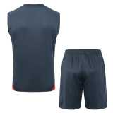 2025/26 Bayern Navy Training Shorts Suit
