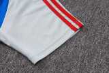 2025/26 Bayern Gray Tracksuit