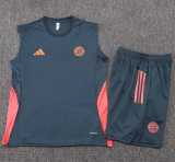 2025/26 Bayern Navy Training Shorts Suit