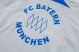 2025/26 Bayern Gray Training Shorts Suit