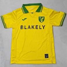 2025/26 Norwich City Home Yellow Fans Soccer jersey