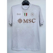 2025/26 Napoli Away Fans Soccer jersey