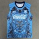 2025/26 Napoli Blue Training Shirts