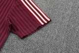 2025/26 Bayern Crimson Training Shorts Suit