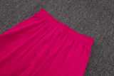 2025/26 Flamengo Pink Training Shorts Suit