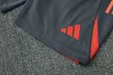 2025/26 Bayern Red Training Shorts Suit